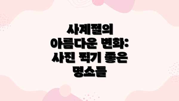 사계절의 아름다운 변화: 사진 찍기 좋은 명소들