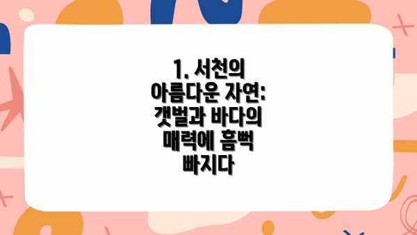 1. 서천의 아름다운 자연: 갯벌과 바다의 매력에 흠뻑 빠지다