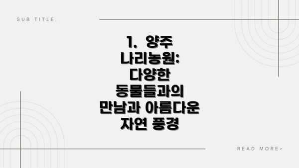 1.  양주 나리농원: 다양한 동물들과의 만남과 아름다운 자연 풍경