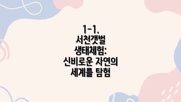 1-1. 서천갯벌 생태체험: 신비로운 자연의 세계를 탐험