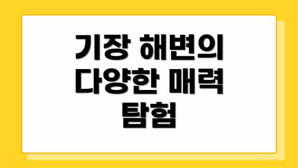 기장 해변의 다양한 매력 탐험
