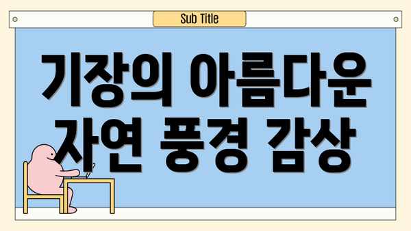 기장의 아름다운 자연 풍경 감상