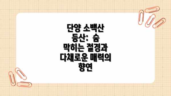 단양 소백산 등산:  숨 막히는 절경과 다채로운 매력의 향연