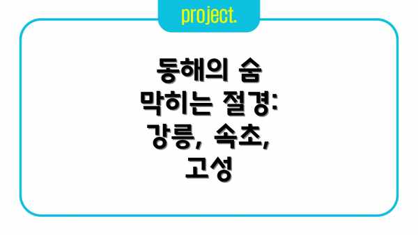 동해의 숨 막히는 절경: 강릉, 속초, 고성