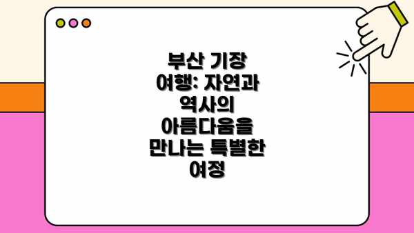 부산 기장 여행: 자연과 역사의 아름다움을 만나는 특별한 여정