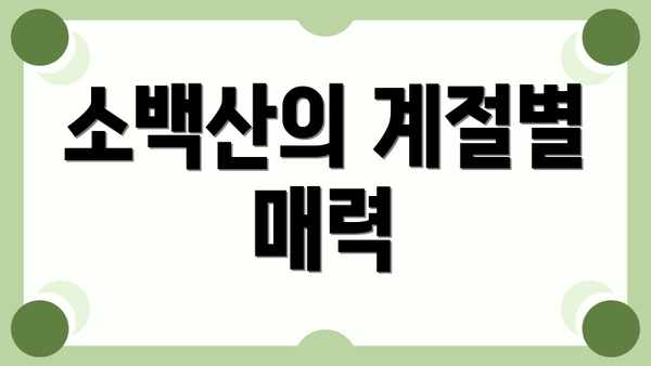 소백산의 계절별 매력