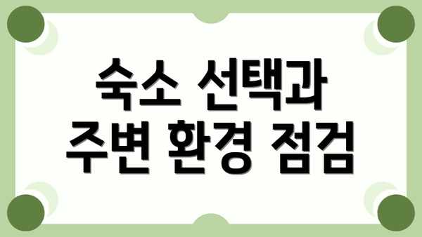 숙소 선택과 주변 환경 점검