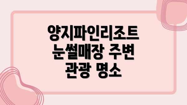 양지파인리조트 눈썰매장 주변 관광 명소