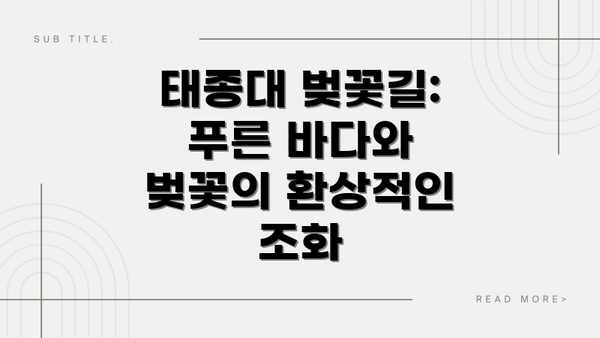 태종대 벚꽃길: 푸른 바다와 벚꽃의 환상적인 조화