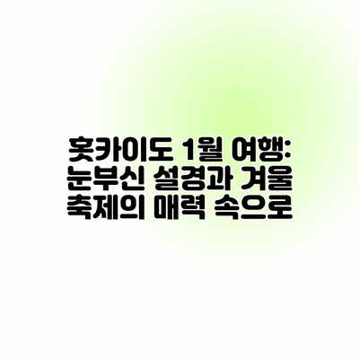 홋카이도 1월 여행: 눈부신 설경과 겨울 축제의 매력 속으로