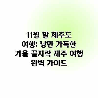 11월 말 제주도 여행: 낭만 가득한 가을 끝자락 제주 여행 완벽 가이드