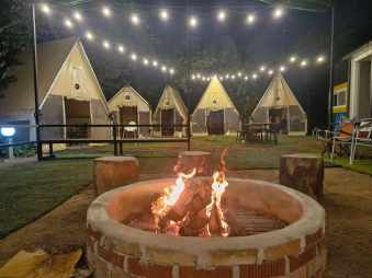 초례봉 사과나무 전경