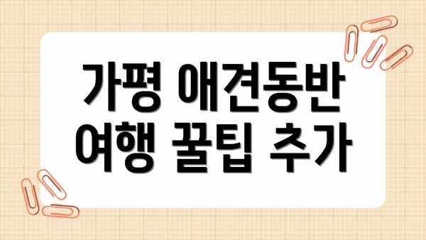 가평 애견동반 여행 꿀팁 추가