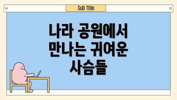 나라 공원에서 만나는 귀여운 사슴들