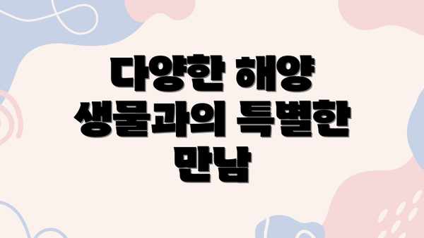 다양한 해양 생물과의 특별한 만남