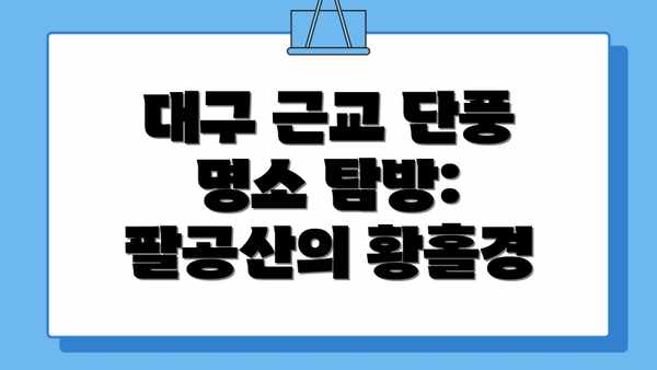 대구 근교 단풍 명소 탐방: 팔공산의 황홀경