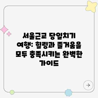 서울근교 당일치기 여행: 힐링과 즐거움을 모두 충족시키는 완벽한 가이드 서울근교 당일치기 여행: 힐링과 즐거움을 모두 충족시키는 완벽한 가이드