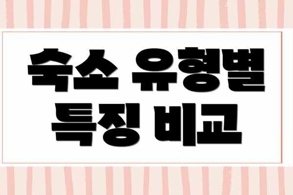 숙소 유형별 특징 비교