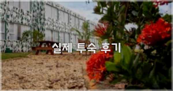 💬 실제 투숙 후기
