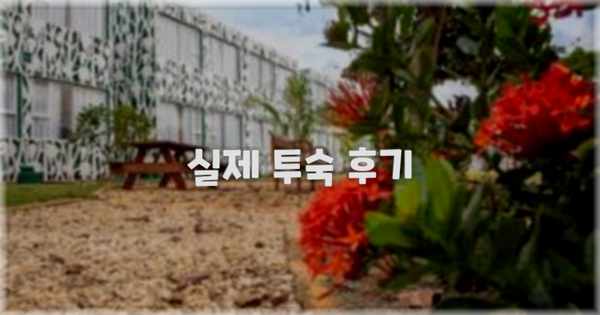 💬 실제 투숙 후기