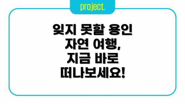 잊지 못할 용인 자연 여행, 지금 바로 떠나보세요!