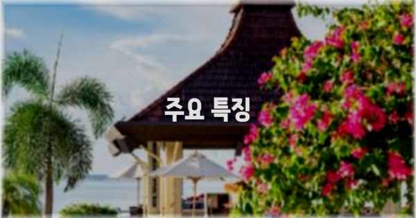 ✨ 주요 특징