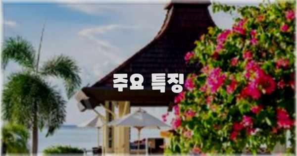 ✨ 주요 특징