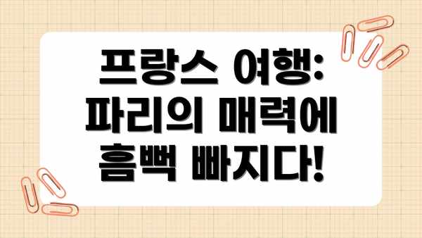 프랑스 여행: 파리의 매력에 흠뻑 빠지다!
