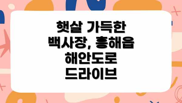 햇살 가득한 백사장, 흥해읍 해안도로 드라이브
